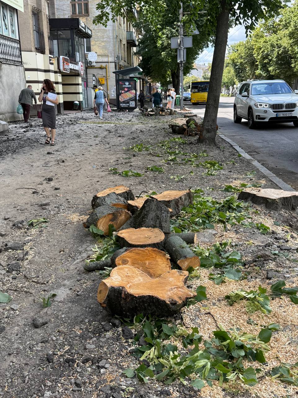 «Деревний» скандал розгорівся у Житомирі: активісти вимагають раціональності у вирубці дерев